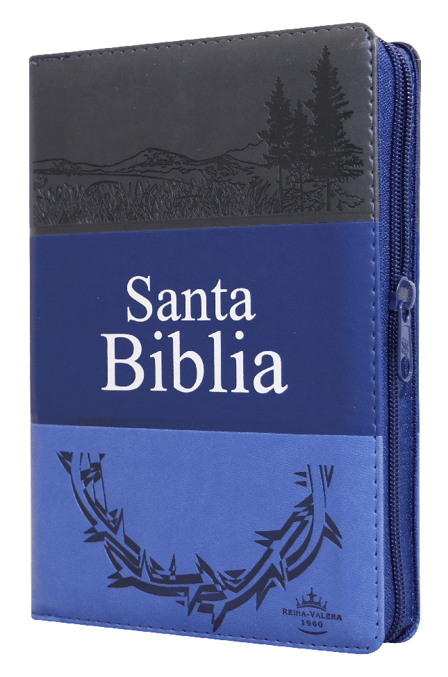 Biblia Reina Valera 1960 Mediana Letra Grande Imitación Piel Gris Azul Marino [RVR056CLGPJRTIZ]