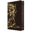 Biblia Reina Valera 1960 Mediana Letra Grande Imitación Piel León Café [RVR066cLGPJRTIZ]