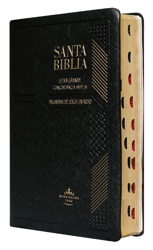 Biblia Reina Valera 1960 Mediana Letra Grande Vinil Negro [RVR052CLGPJRTI]