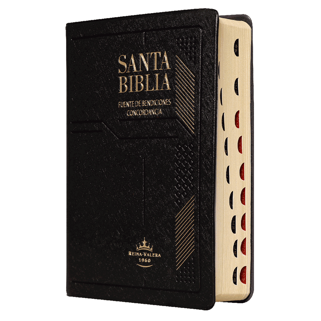Biblia Fuente de Bendiciones Reina Valera 1960 Chica Letra Mediana Vinil Negro [RVR042cLMFBTI]
