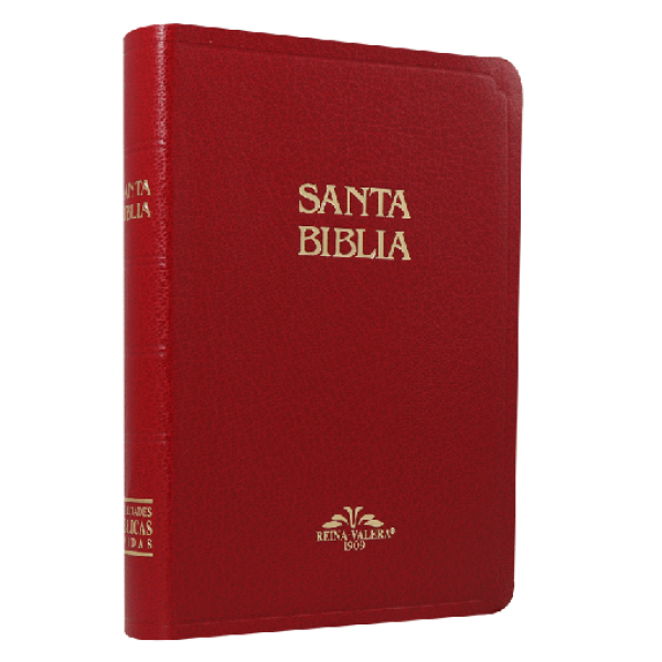 Biblia Reina Valera 1909 Mediana Letra Chica Imitación Piel Vino [VR055]
