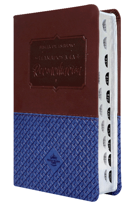 Biblia de Estudio Renacer Reina Valera 1960 Mediana Letra Grande Imitación Piel Azul Vino tinto [RVR065EETILG]