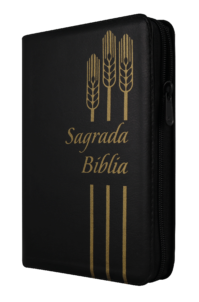 Biblia Dios Habla Hoy Mediana Letra Mediana Imitación Piel Negro [DHH55DKZLG]