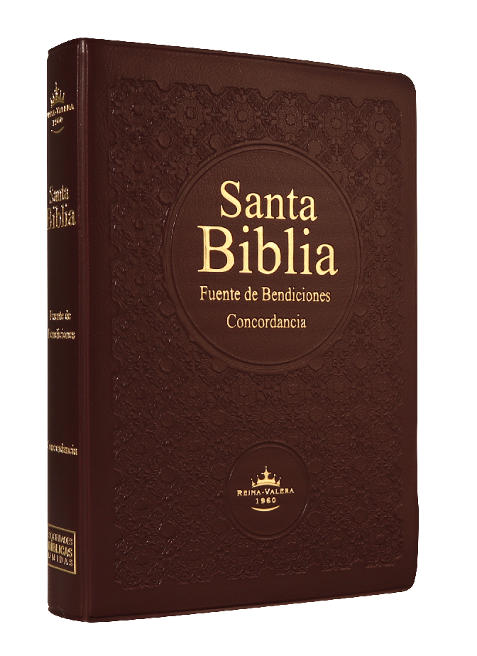 Biblia Fuente de Bendiciones Reina Valera 1960 Chica Letra Mediana Vinil Vino [RVR042CLMFB]
