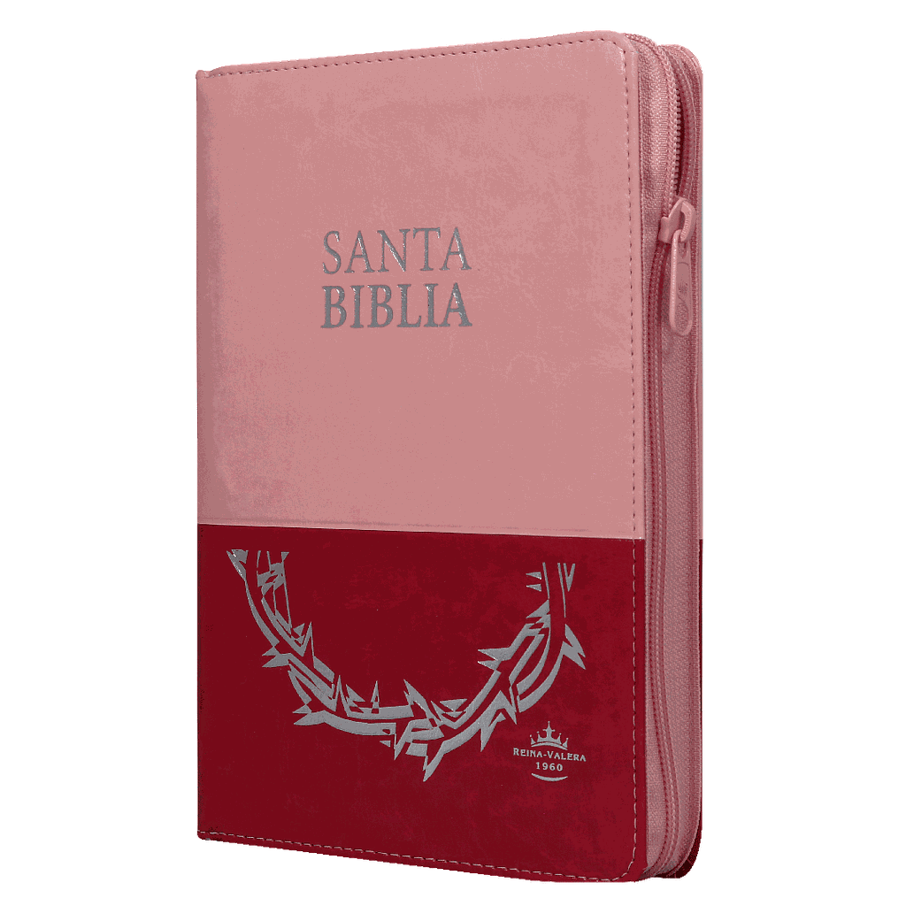 Biblia Reina Valera 1960 Mediana Letra Grande Imitación Piel Rosa Duotono [RVR066cLGPJRTIZABS]