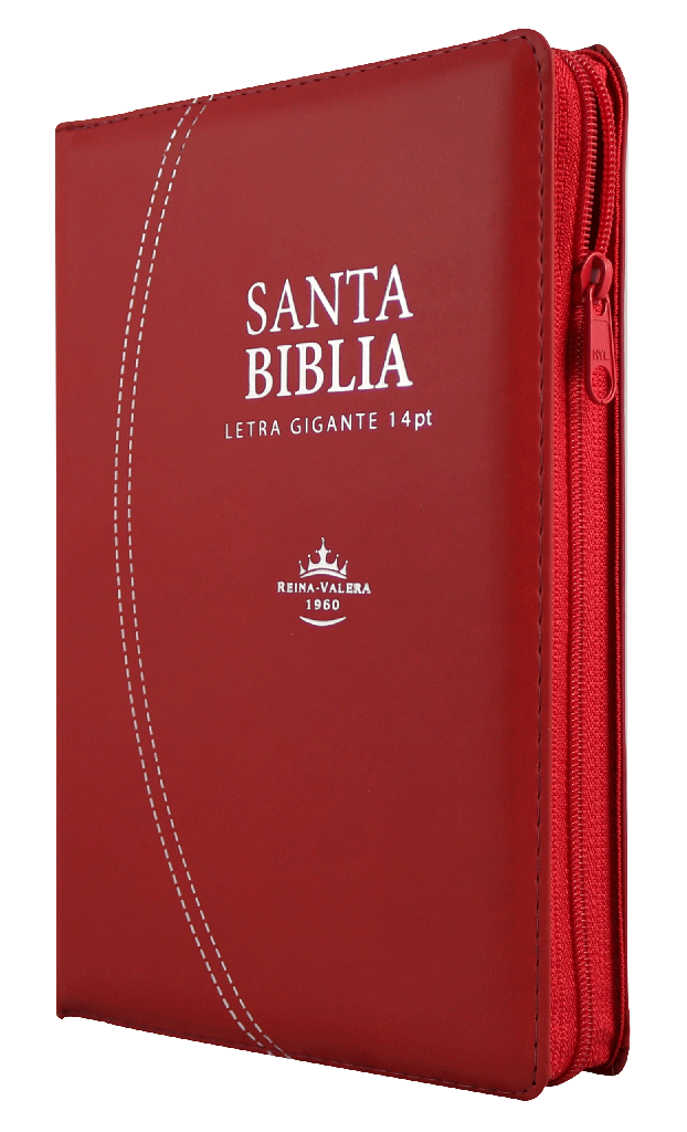 Biblia Reina Valera 1960 Mediana Letra Gigante Imitación Piel Rojo [RVR066cLSGiPJRZTI]