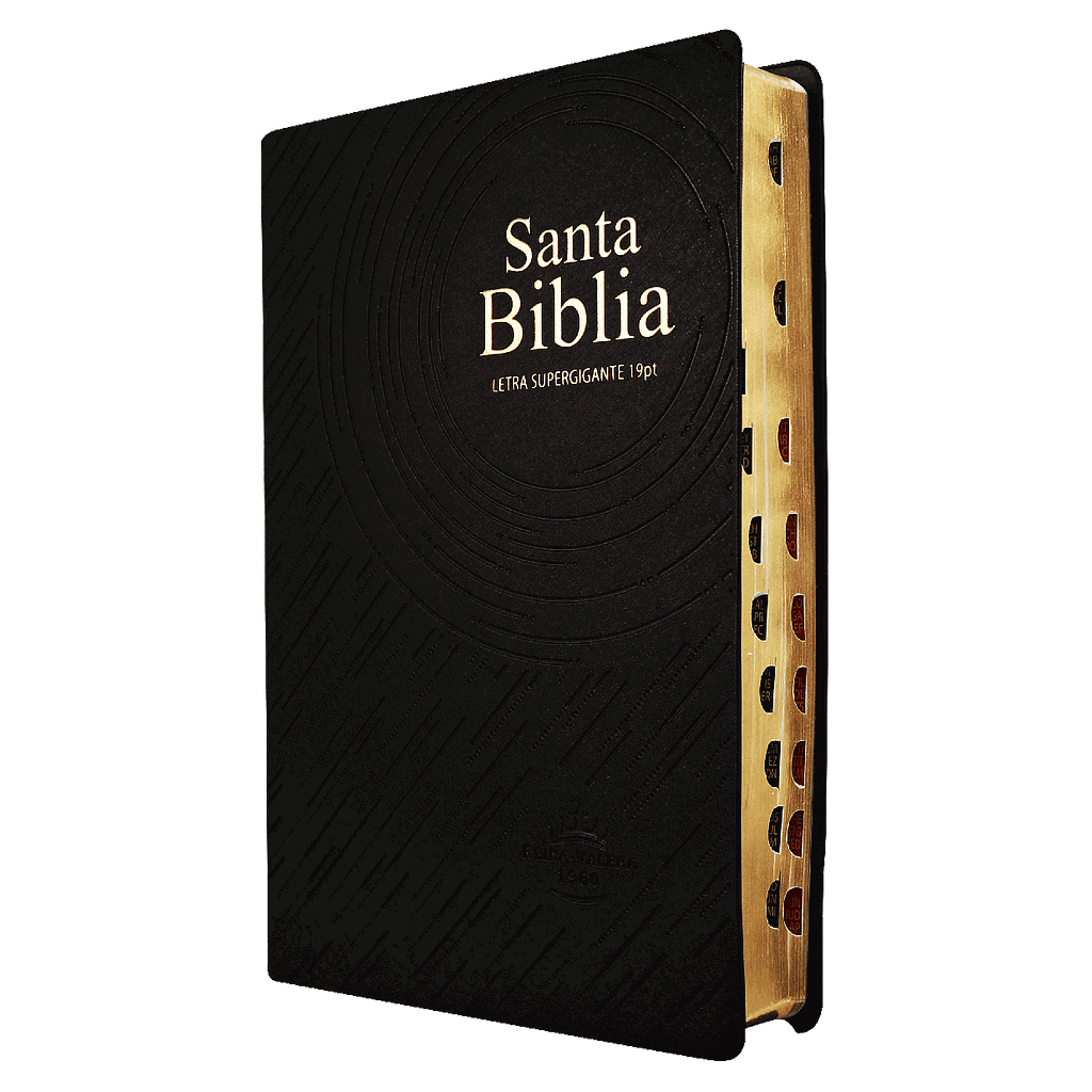 Biblia Reina Valera 1960 Grande Letra Gigante Vinil Negro [RVR0820LSGiPJRTI]