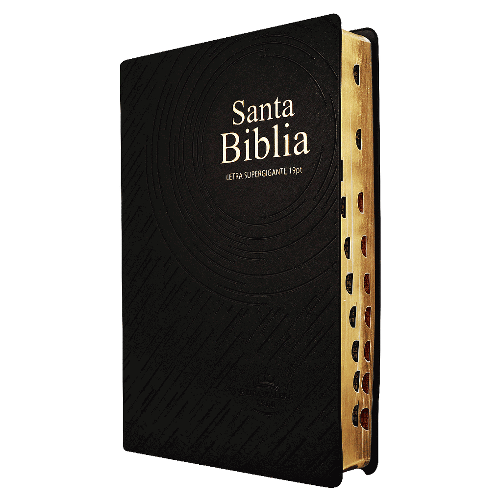 Biblia Reina Valera 1960 Grande Letra Gigante Vinil Negro [RVR082cLSGiPJRTI]