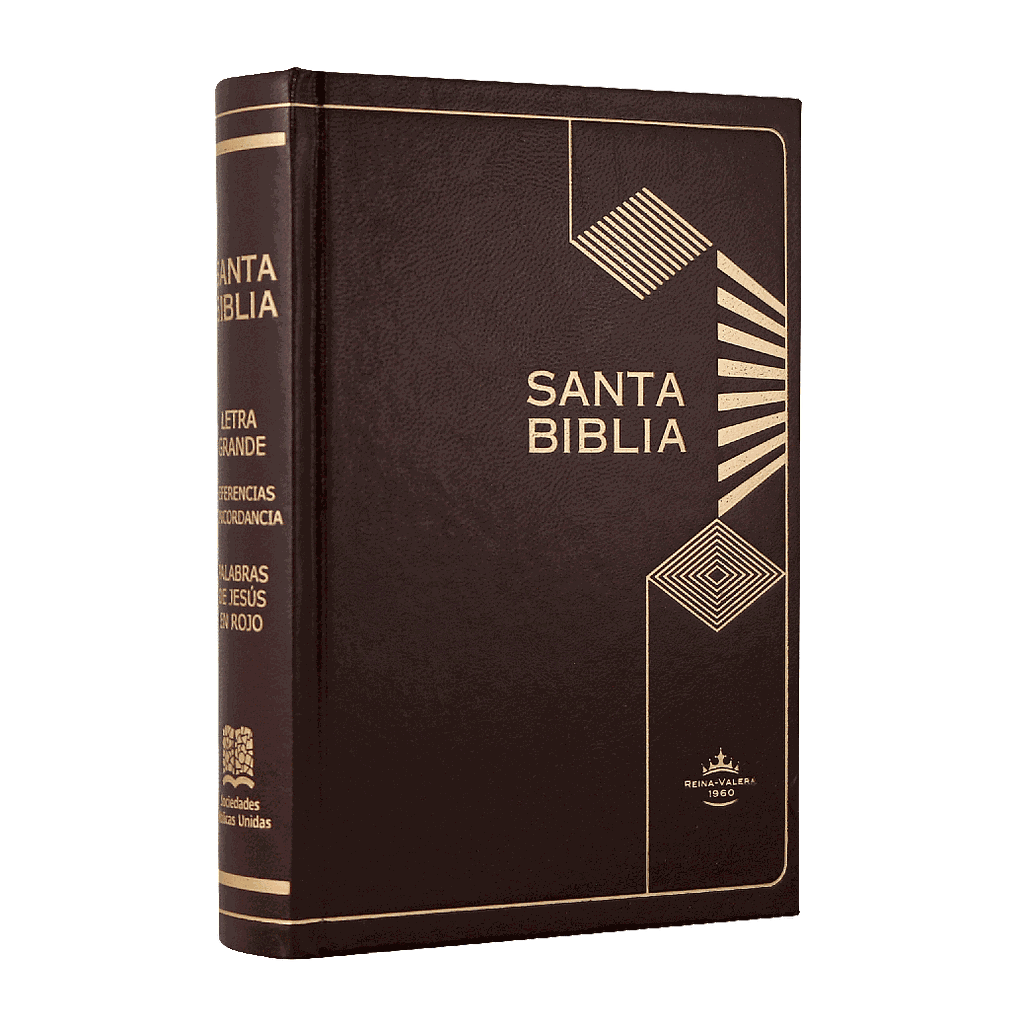 Biblia Reina Valera 1960 Chica Letra Chica Tapa Dura Café [RVR043cLGPJRMDM]