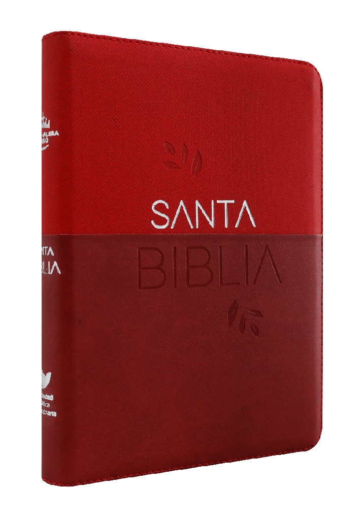 Biblia Reina Valera 1960 Grande Letra Gigante Imitación Piel Vino tinto Código QR [RVR086cZTILGiPJR]