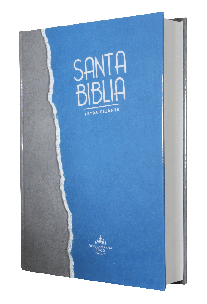 Biblia Reina Valera 1960 Grande Letra Gigante Tapa Dura Gris Azul Código QR [RVR083cLGiPJR]