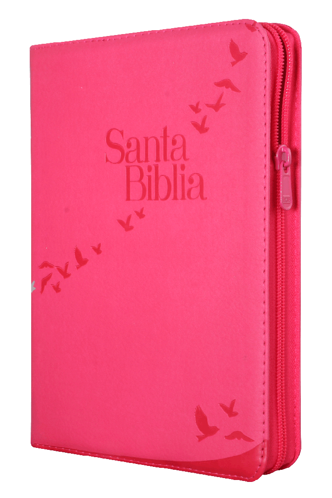 Biblia Reina Valera 1960 Grande Letra Gigante Imitación Piel Rosa [RVR086cZLGiPJR]