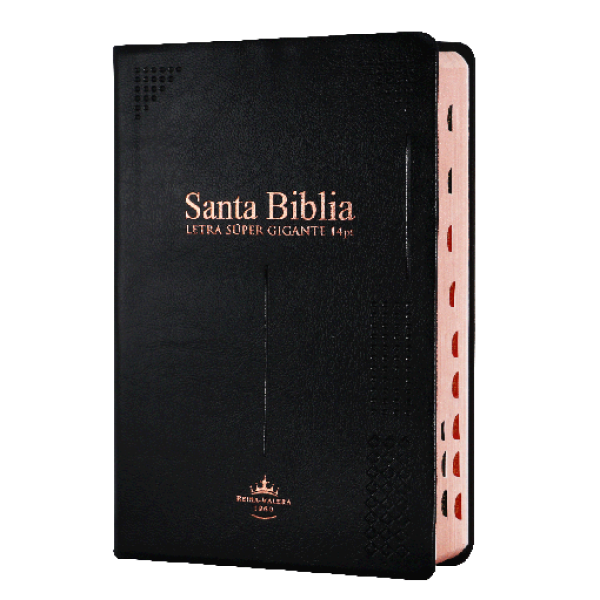 Biblia Reina Valera 1960 Mediana Letra Gigante Vinil Negro [RVR062cLSGIPJRTI]