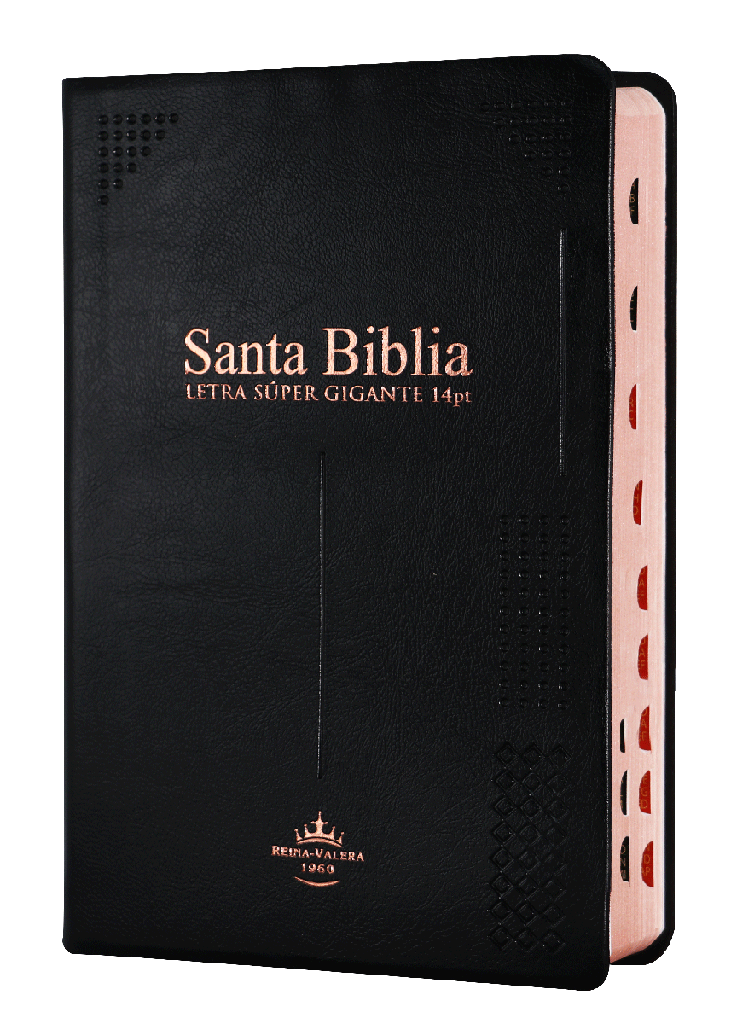 Biblia Reina Valera 1960 Mediana Letra Gigante Vinil Negro [RVR062cLSGIPJRTI]