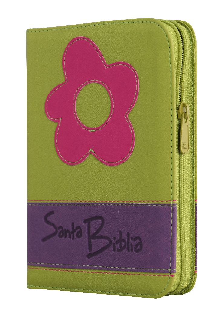 Biblia Reina Valera 1960 Chica Letra Mediana Imitación Piel Verde QR [RVR045cZLGPJR]
