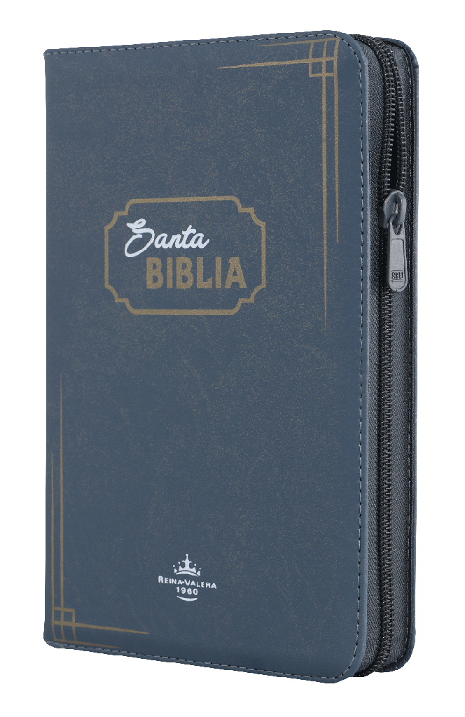 Biblia Reina Valera 1960 Mediana Letra Grande Imitación Piel Gris Código QR [RVR065cZLGPJR]