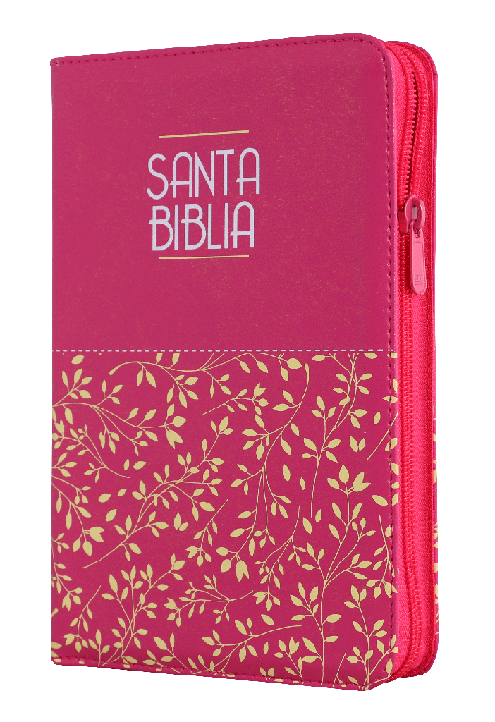 Biblia Reina Valera 1960 Mediana Letra Grande Imitación Piel Fucsia Código QR [RVR065cZLM]