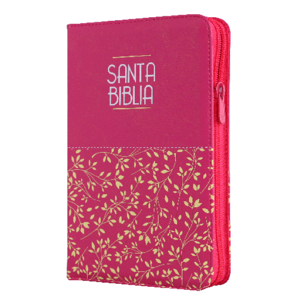 Biblia Reina Valera 1960 Mediana Letra Grande Imitación Piel Fucsia Código QR [RVR065cZLM]