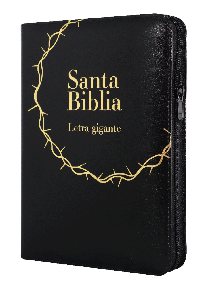 Biblia Reina Valera 1960 Grande Letra Gigante Imitación Piel Negro [RVR085cZLGiaPJR]