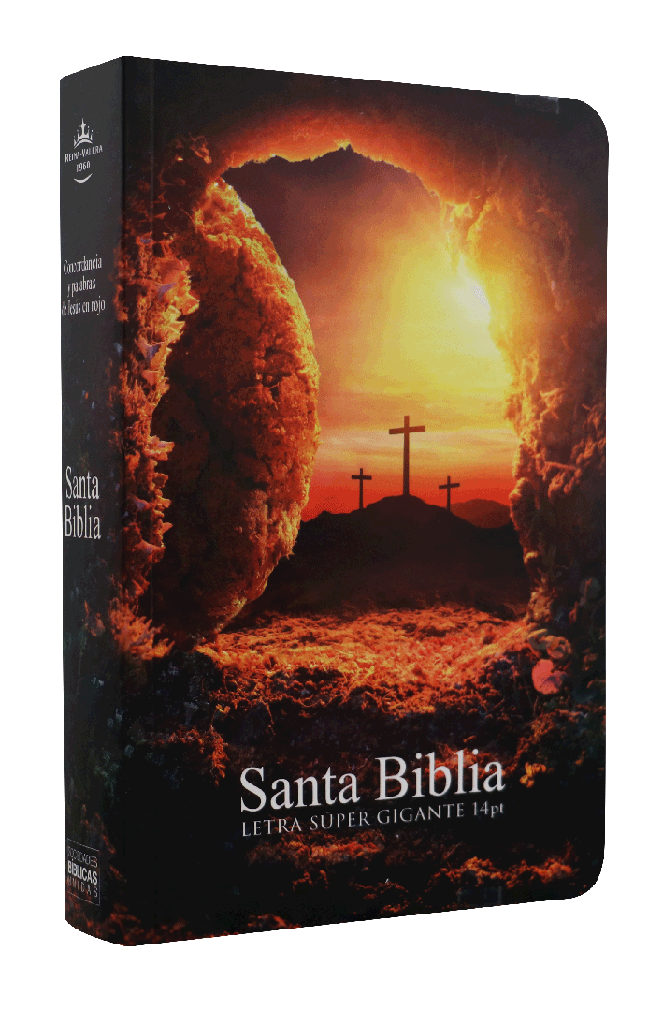 Biblia Reina Valera 1960 Mediana Letra Gigante Rústica Piedra [RVR060cLSGiPJRPTS]