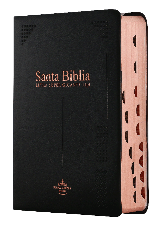 Biblia Reina Valera 1960 Chica Letra Grande Vinil Negro [RVR042cLSGiPJRTI]