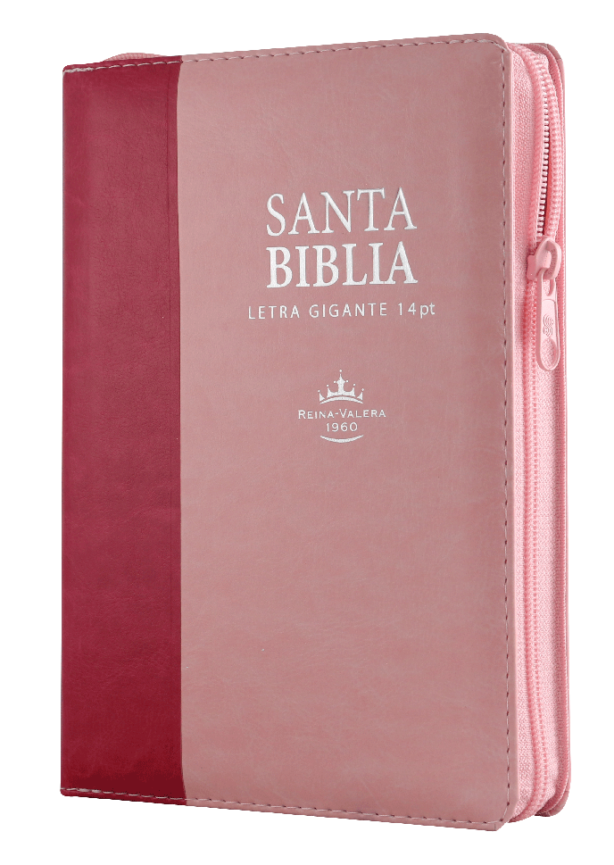 Biblia Reina Valera 1960 Mediana Letra Gigante Imitación Piel Rosa Rosa [RVR066cLSGiPJRZTI]