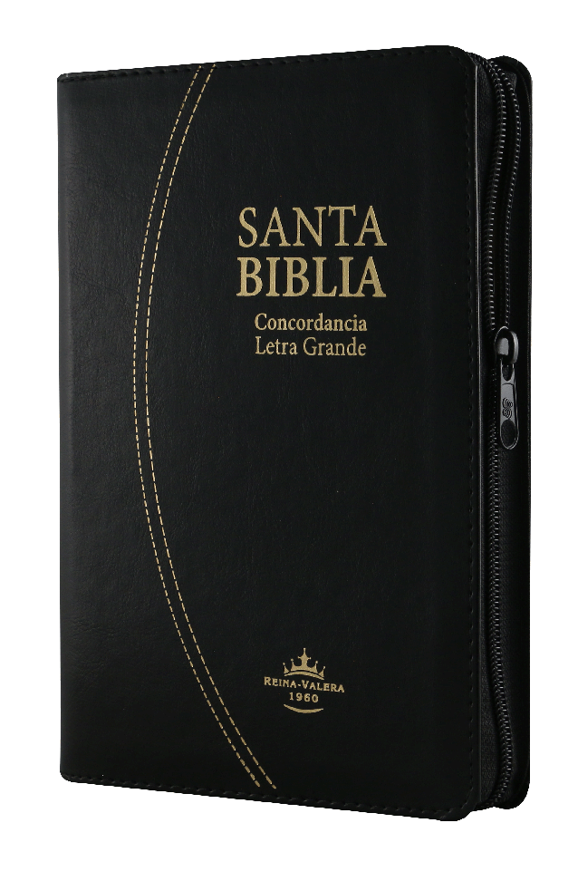 Biblia Reina Valera 1960 Mediana Letra Grande Imitación Piel Negro [RVR066cLGPJRTIZABS]