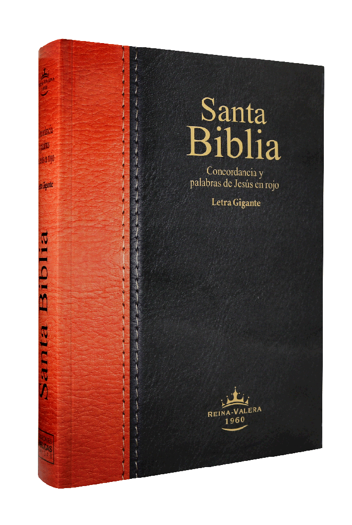 Biblia Reina Valera 1960 Grande Letra Gigante Rústica Negro Marrón [RVR080cLGiPJR]