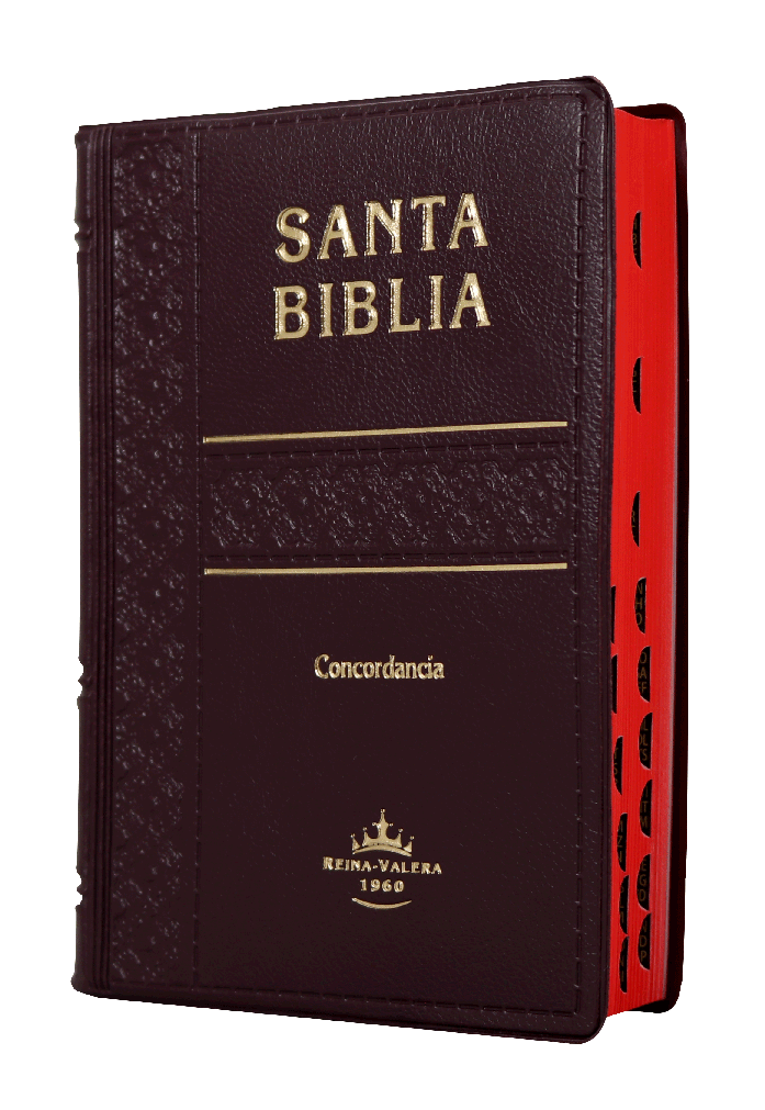 Biblia Reina Valera 1960 Tamaño Bolsillo Letra Grande Vinil Vino [RVR022CLGTI]