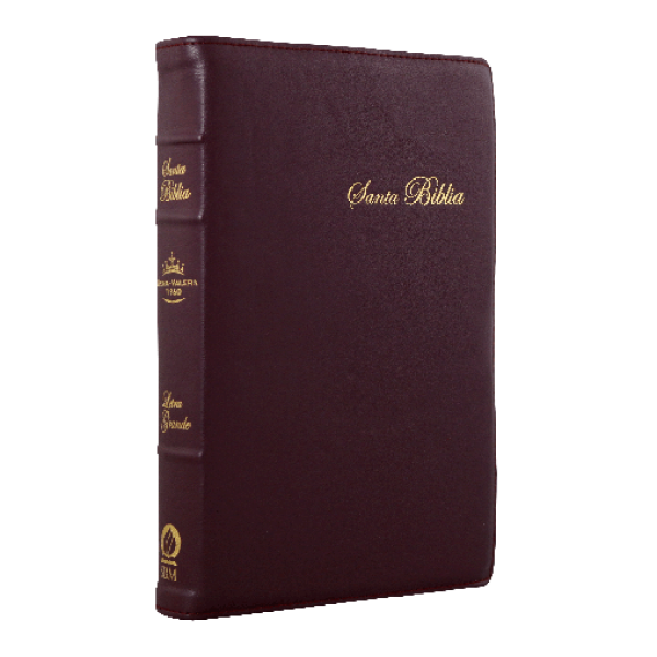 Biblia Reina Valera 1960 Mediana Letra Grande Morado Canto Floreado [RVR066cLPJRTI]