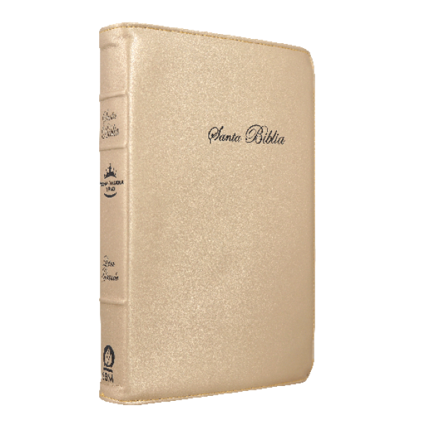 Biblia Reina Valera 1960 Mediana Letra Grande Curpiel Dorado [RVR066cLGPJRTI]