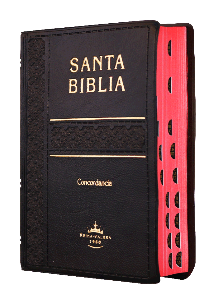 Biblia Reina Valera 1960 Tamaño Bolsillo Letra Grande Vinil Negro [RVR022cLGTI]