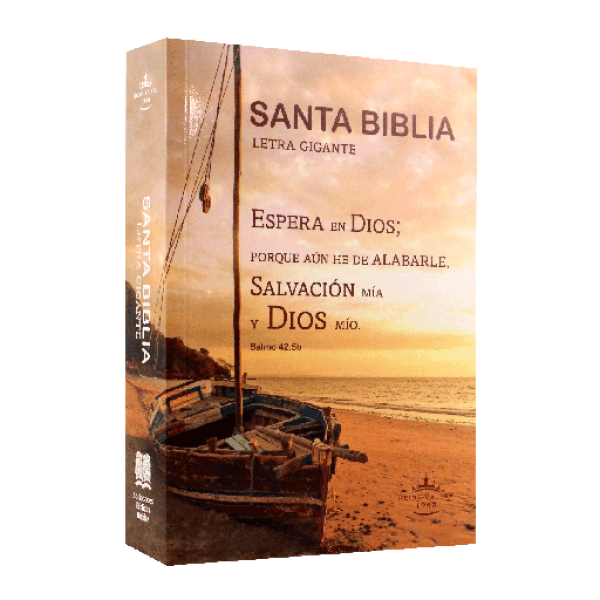 Biblia Reina Valera 1960 Mediana Letra Gigante Rústica (RVR.60ecLGiPJR)