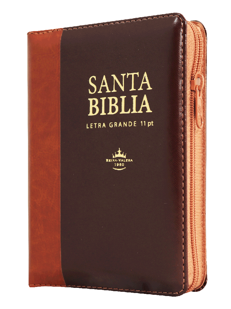 Biblia Reina Valera 1960 Letra Grande Café/Marrón [RVR046cLSGiPJRZTI]