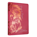Biblia Reina Valera 1960 Letra Grande Rosa [RVR062cLGPJR]
