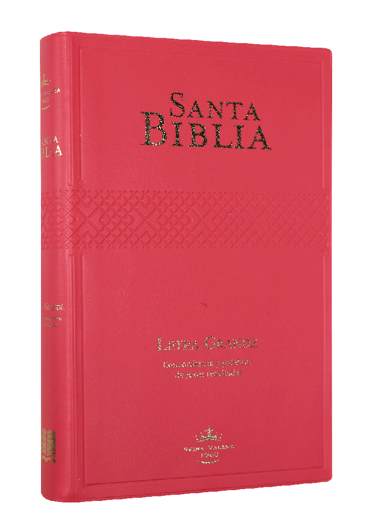 Biblia Reina Valera 1960 Mediana Letra Grande Vinil Fucsia [RVR062cPJR]