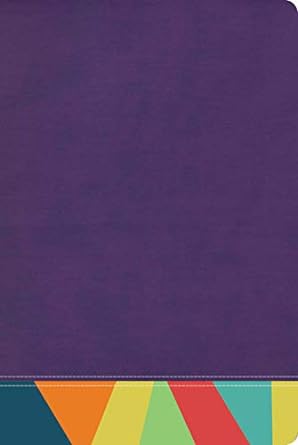 Biblia de Estudio Arco Iris Reina Valera 1960 Semi Piel Morado/Multicolor