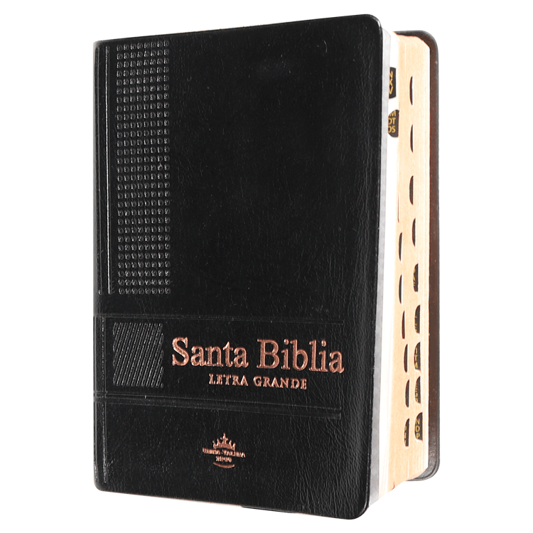 Biblia Reina Valera 1960 Bolsillo Chica Letra Grande Vinil Negro [RVR.22cTILGPJR]