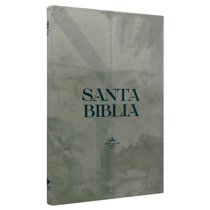 Biblia Reina Valera 1960 Mediana Letra Mediana Tapa Flexible Gris [RVR068eLRPJR]