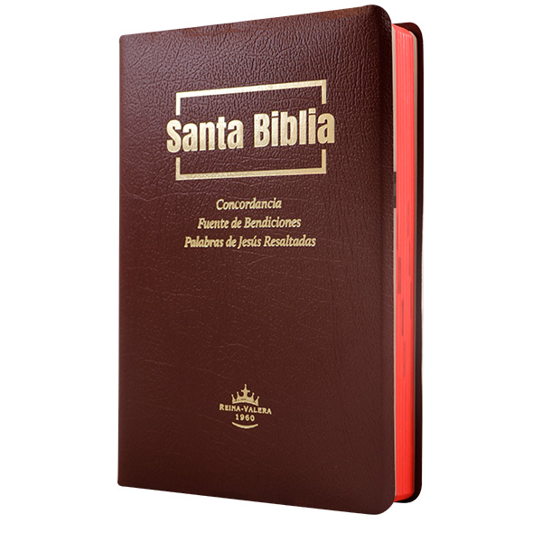 Biblia Fuente de Bendiciones Reina Valera 1960 Mediana Letra Mediana Imitación Piel Vino [RVR.65uecFBPJR] 