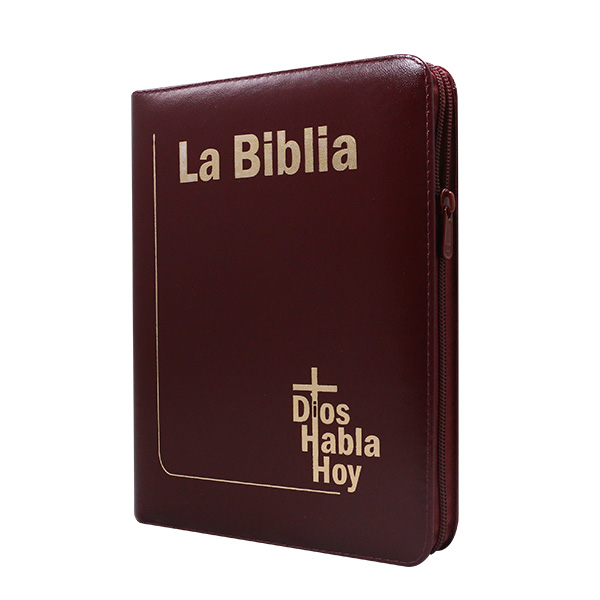 Biblia Dios Habla Hoy Grande Letra Gigante Imitación Piel Café Acolchada Código QR [DHH085DKZLGia] 