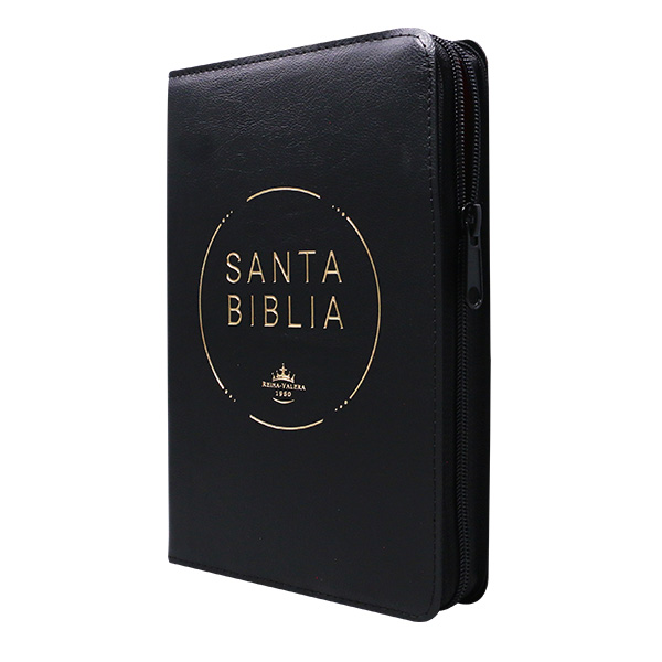 Biblia Reina Valera 1960 Mediana Letra Grande Vinil Negro con cierre [RVR.062cLGPJRZ] 