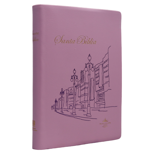 Biblia Reina Valera 1960 Chica Letra Mediana Vinil Rosa [RVR042e] 