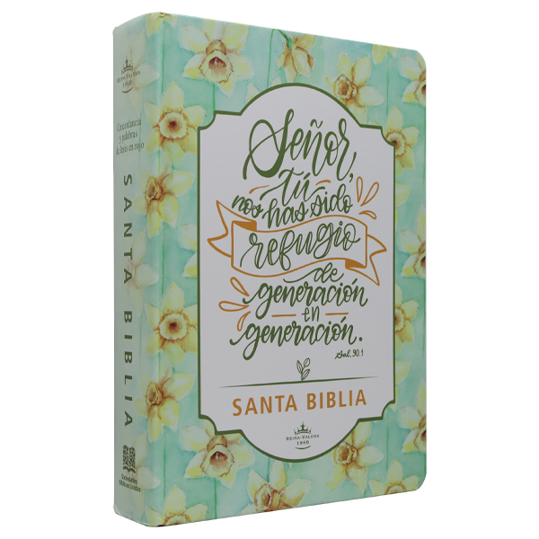 Biblia Reina Valera 1960 Mediana Letra Gigante Lettering Tapa Dura [RVR063cLGiPJR] 