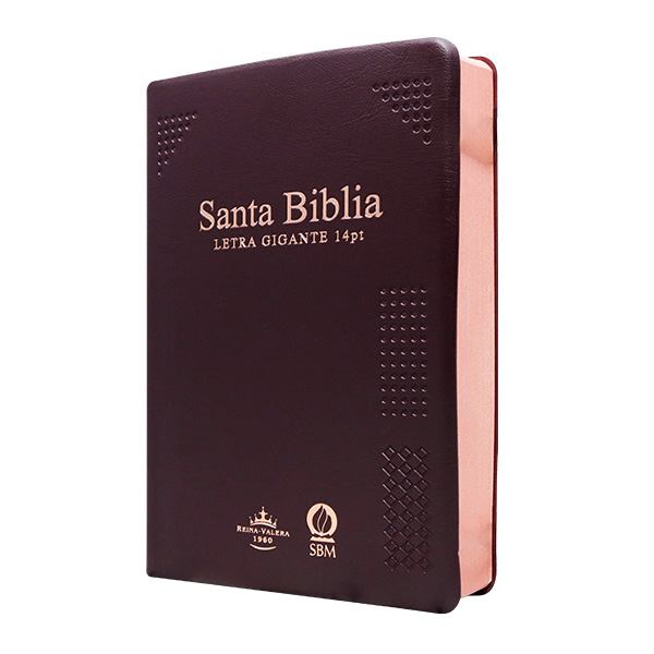 Biblia Reina Valera 1960 Mediana Letra Gigante 14 pts Vinil Vino RVR062cLGiPJR