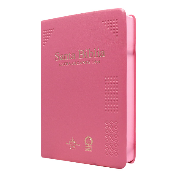 Biblia Reina Valera 1960 Mediana Letra Gigante 14 pts Vinil Rosa RVR062cLGiPJR