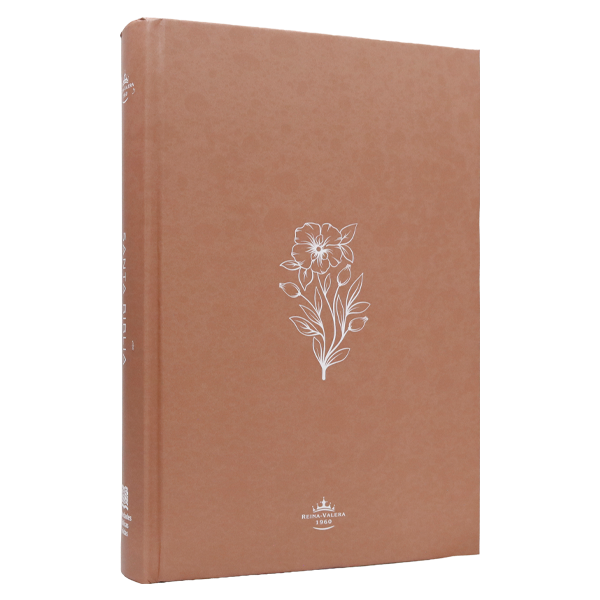 Biblia Reina Valera 1960 Mediana Letra Grande Minimalista Tapa Dura Marrón [RVR063cLGPJR]  