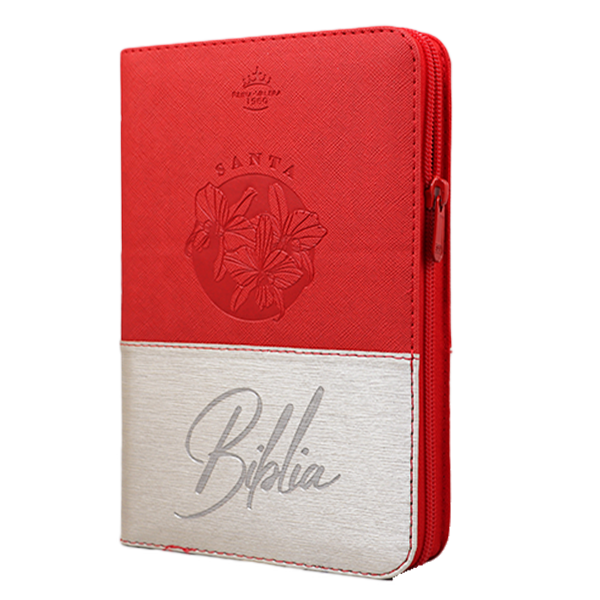 Biblia Reina Valera 1960 Mediana Letra Grande Imitación Piel Beige/Rojo Código QR [RVR066cLGZTIPJR] 