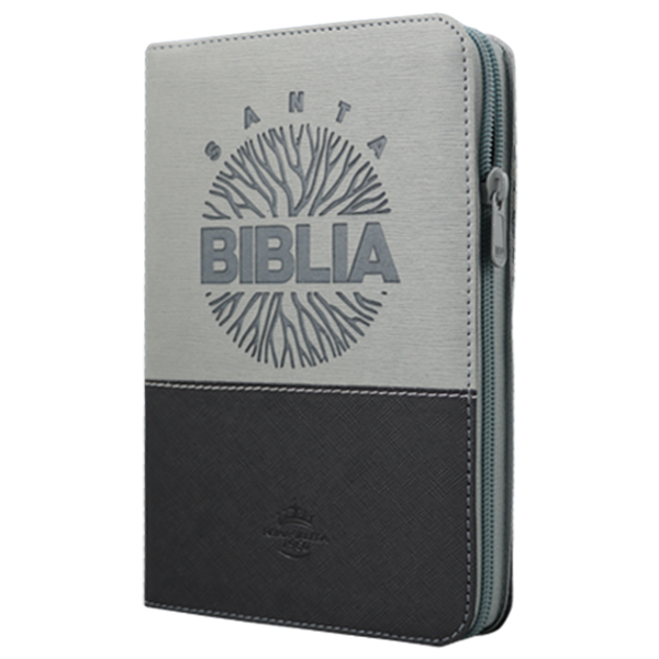 Biblia Reina Valera 1960 Mediana Letra Grande Imitación Piel Gris/Negro Código QR [RVR066cLGZTIPJR] 