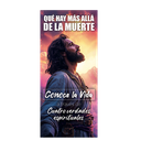 Paquete de Folletos Qué Hay Más Allá de la Muerte / Dios habla Hoy DHH - Rostro al Cielo (100 Piezas) 